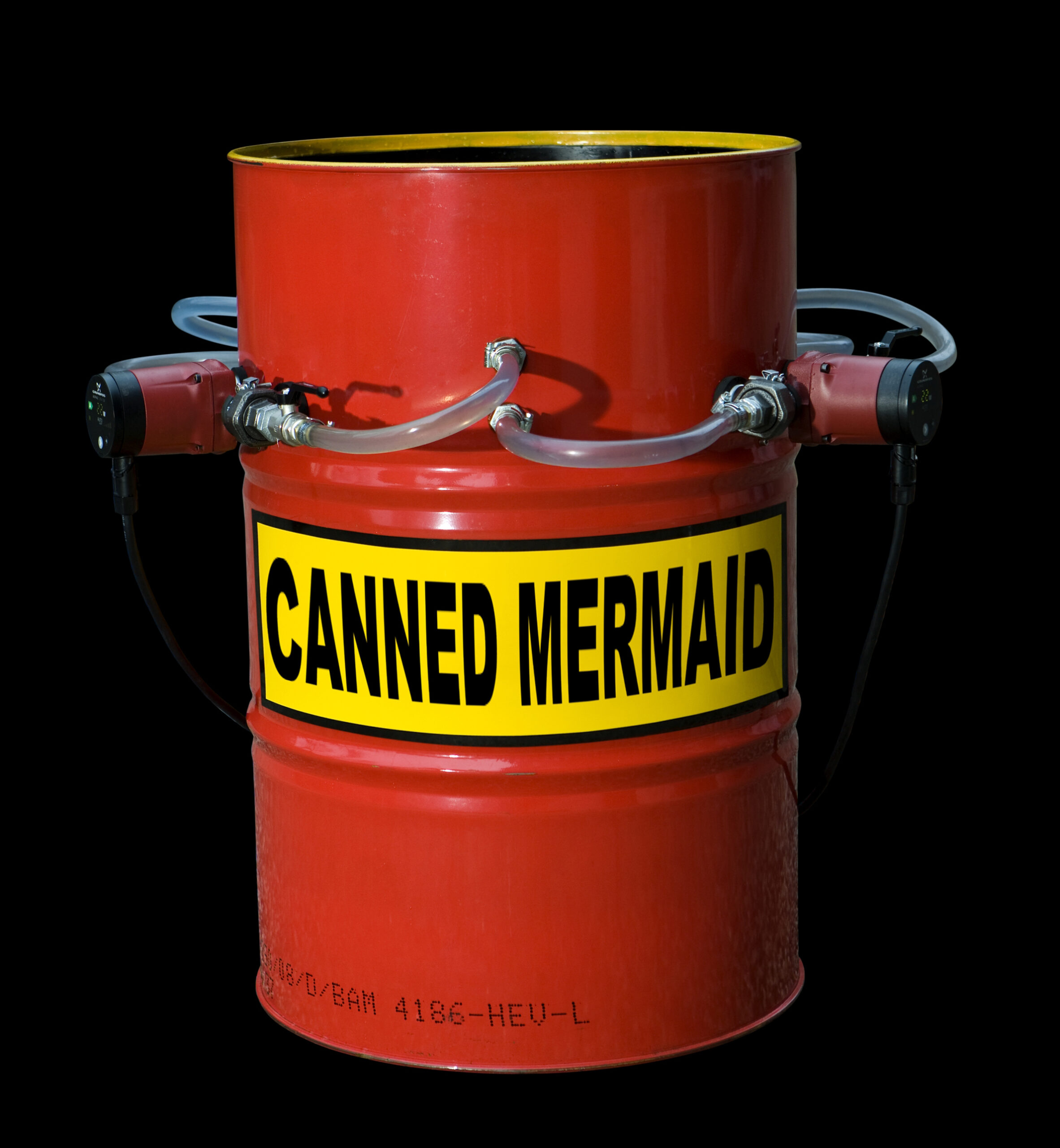 Read more about the article Katja Bjørn: Canned mermaid I, 2009