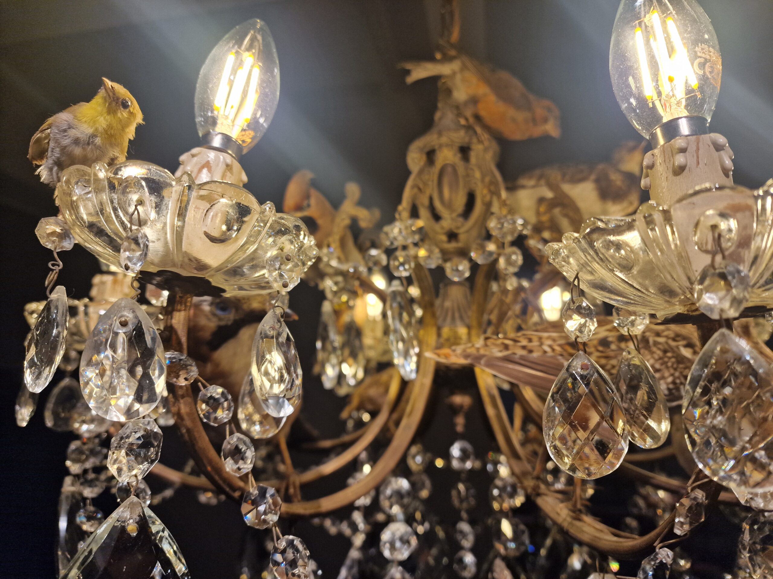 Read more about the article På tur med det magiske tæppe i Nina Saunders – ‘Let’s Talk About the Baby’